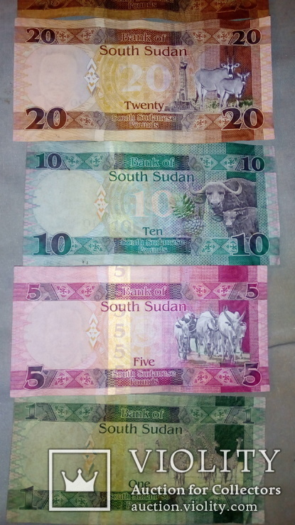 Фунты Южного Судана, фото №4