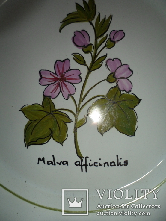 Блюдо Malva officinalis клеймо авт раб, фото №5