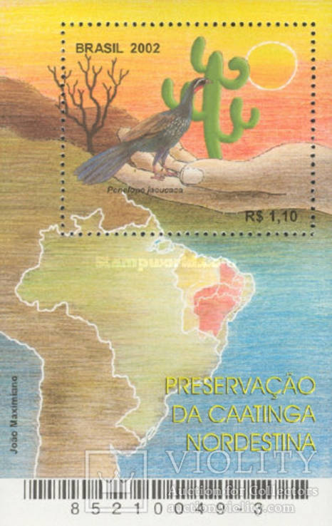 Бразилия 2002 БЛ кактус