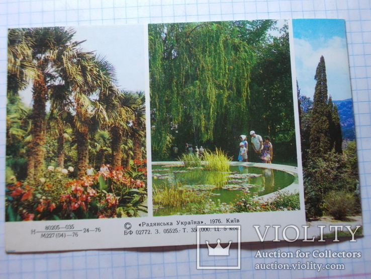 Крым.Никитский ботанический сад, фото №4