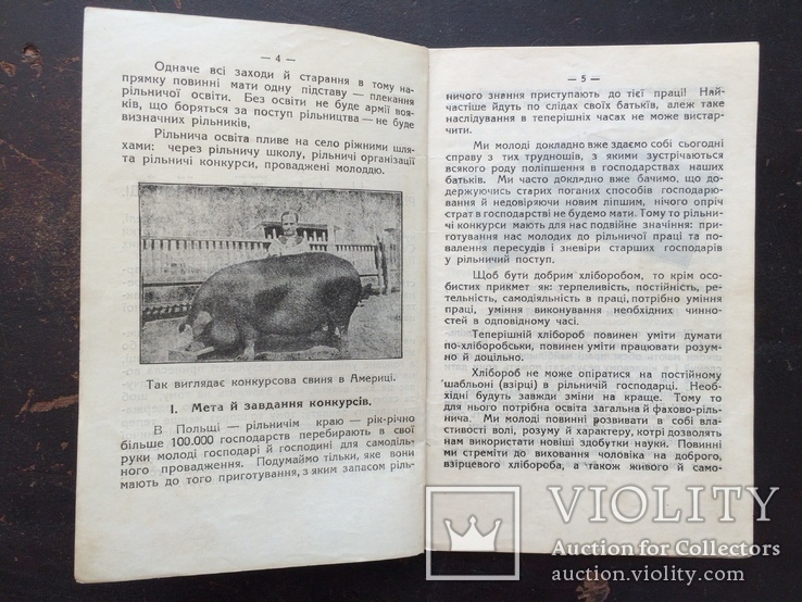 Рiльничi Конкурси Сiльскоi Молодi. Рiвне на Волинi, 1930 р., фото №4