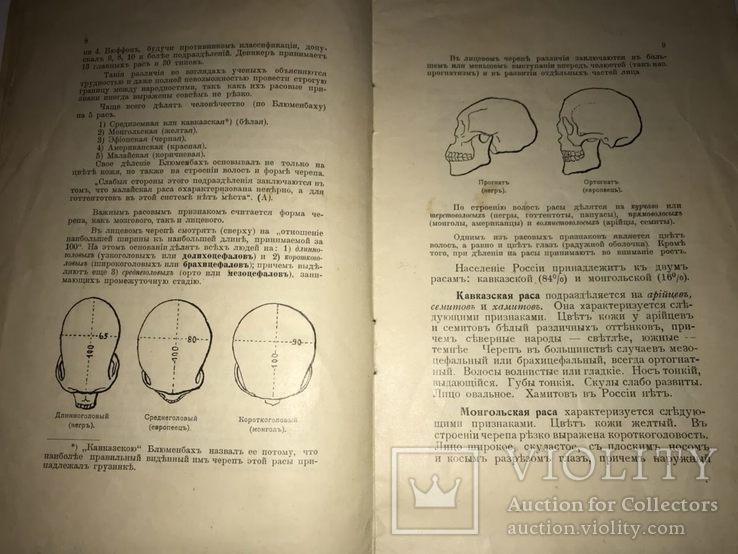 Украинцы и Другие Народы 1912год., фото №5