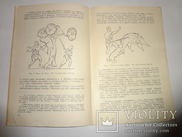 1953 История Охоты на Украине Университет Т. Шевченка, фото №3