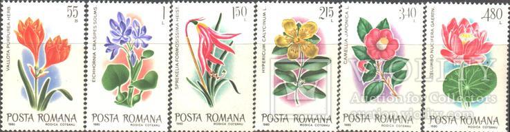 Румыния. 1980. Экзотические цветы **.