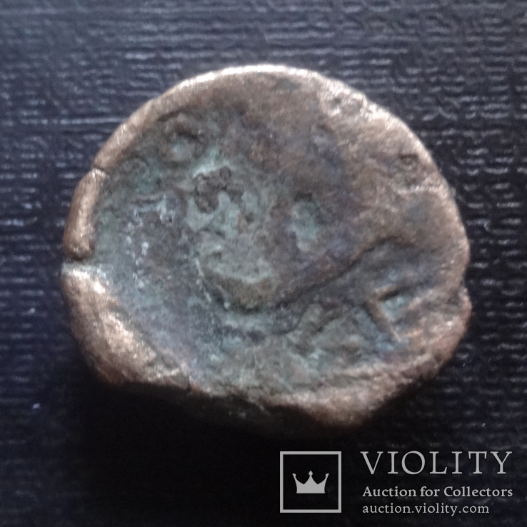Монета Ольвии    (К.7.18)~, фото №2
