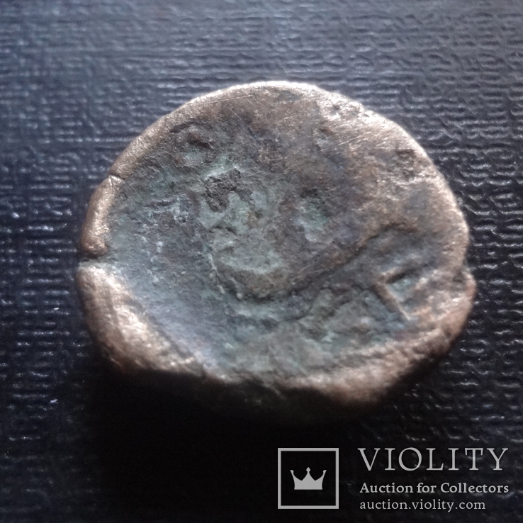 Монета Ольвии    (К.7.18)~, фото №3