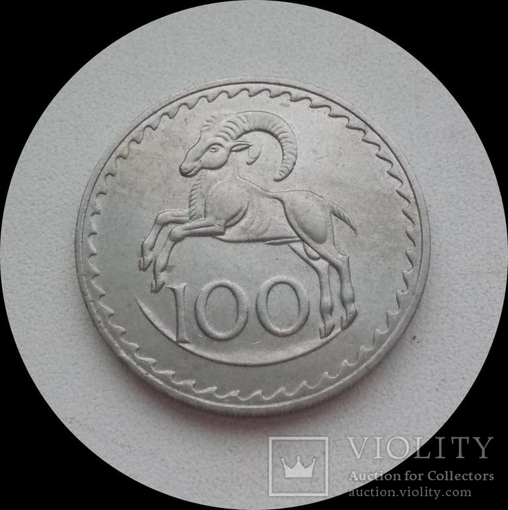 Кипр 100 милс 1981