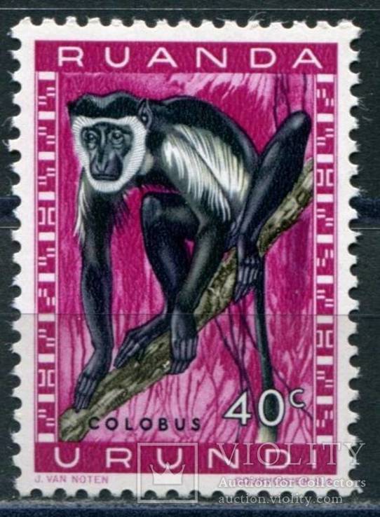 1959 Руанда Фауна 40с