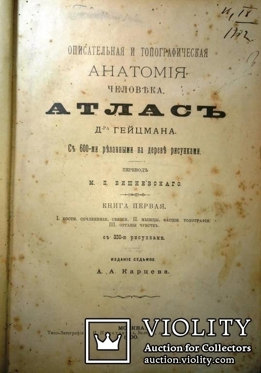 1900  Описательная и топографическая анатомия человека. Атлас д-ра Гейцмана. 2 тома., фото №4