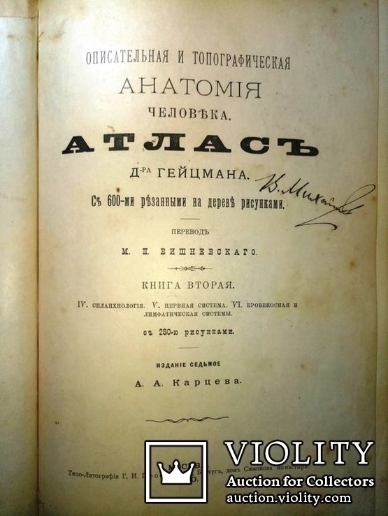 1900  Описательная и топографическая анатомия человека. Атлас д-ра Гейцмана. 2 тома., фото №5