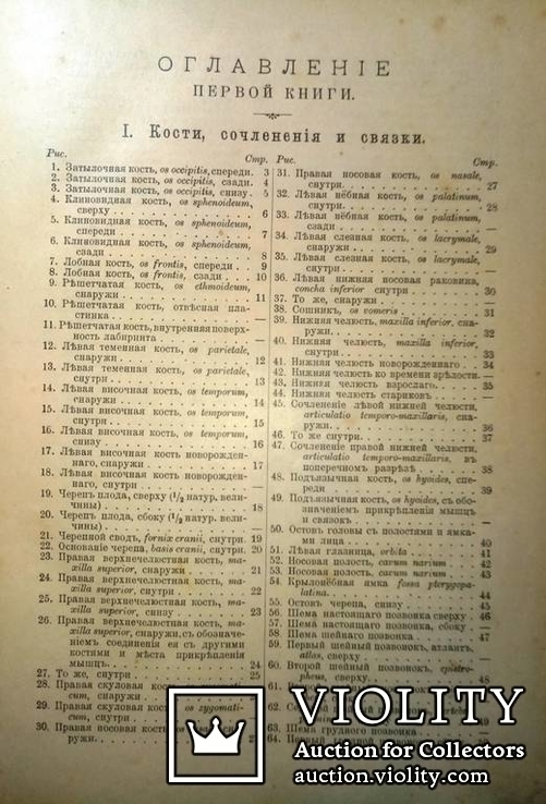 1900  Описательная и топографическая анатомия человека. Атлас д-ра Гейцмана. 2 тома., фото №10