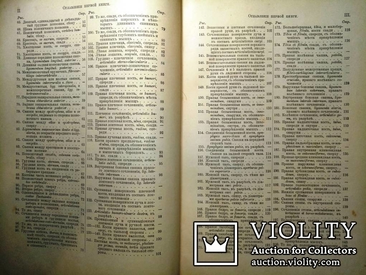 1900  Описательная и топографическая анатомия человека. Атлас д-ра Гейцмана. 2 тома., фото №11