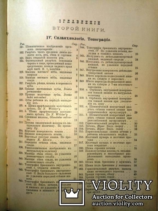 1900  Описательная и топографическая анатомия человека. Атлас д-ра Гейцмана. 2 тома., фото №13