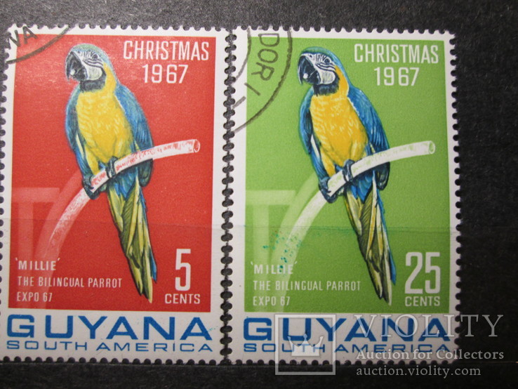 Гайана 1967 фауна гаш