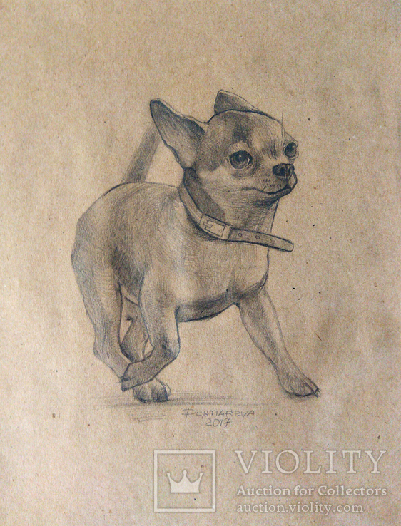 Рисунок на бумаге,"Бегом", портрет собаки., фото №2