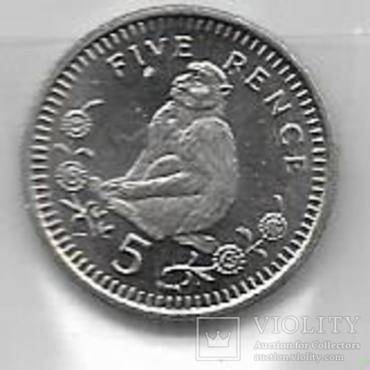  Гибралтар 5 пенсов 2000 год (Берберская обезьяна), фото №2