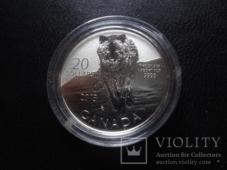 20 долларов 2013  Канада серебро 999    (О.14.6)~, фото №3