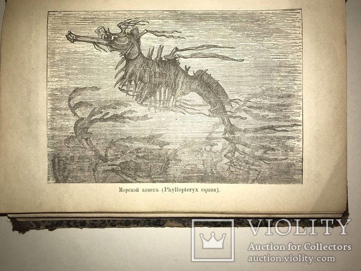 1896 Жизнь в Море с Автографом 2 части, фото №10