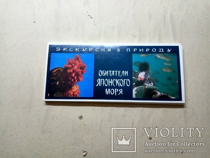 Комплект открыток : "Обитатели японского моря",набор,21 штука, photo number 2