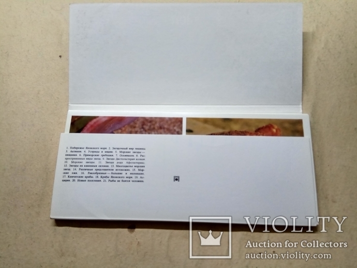 Комплект открыток : "Обитатели японского моря",набор,21 штука, фото №4