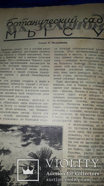 1928 Всемирный турист - 8 номеров из 12, фото №7