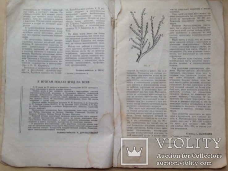 Журнал по садоводству. 1958-1960. 4 журнала., фото №10