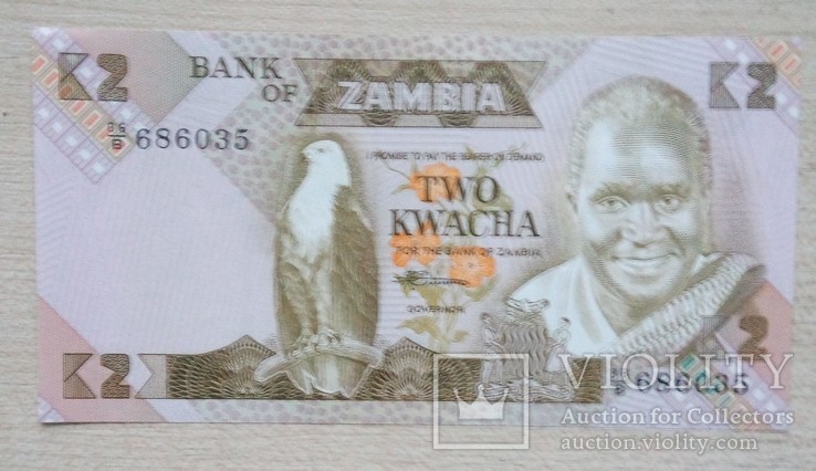 Замбия 2 квача