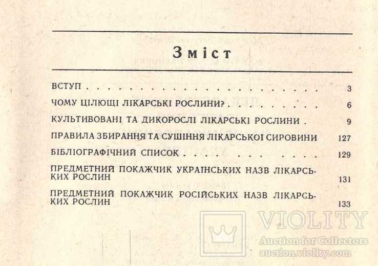 Лікарські рослини на присадибній ділянці.1989 р., фото №4