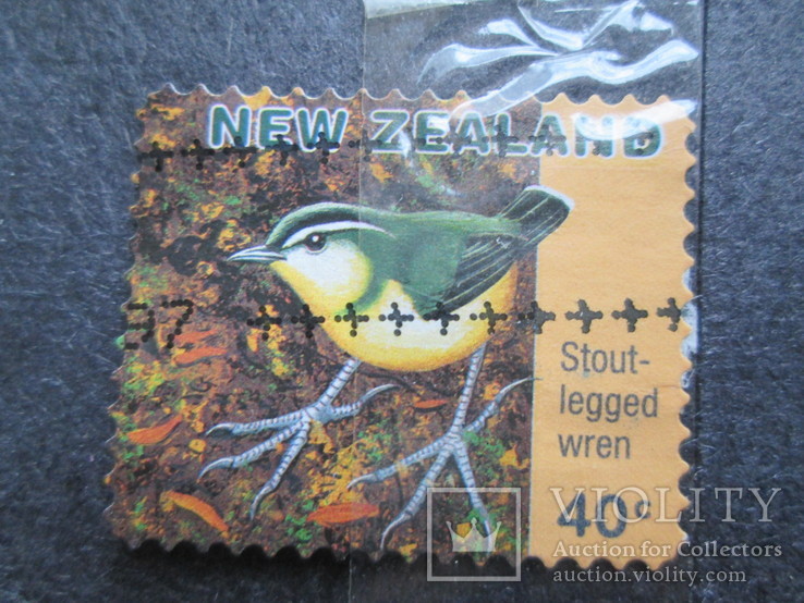 Новая Зеландия фауна гаш