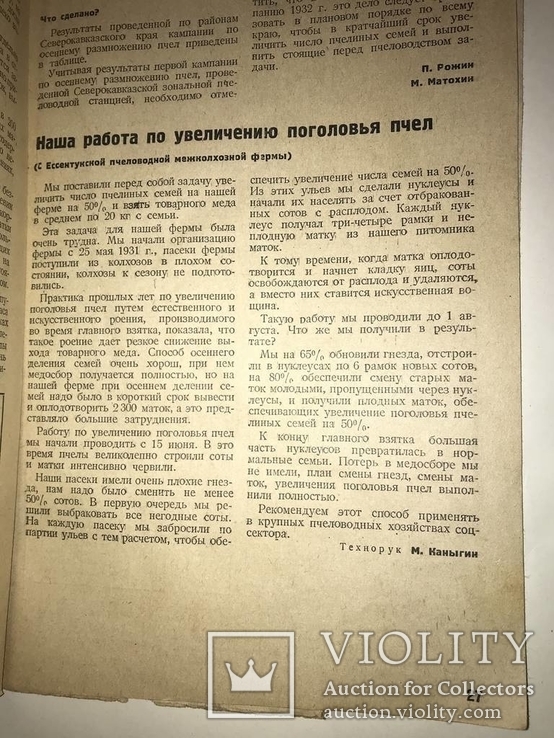 1931 Пчеловодство Коллективное Пропаганда, фото №3