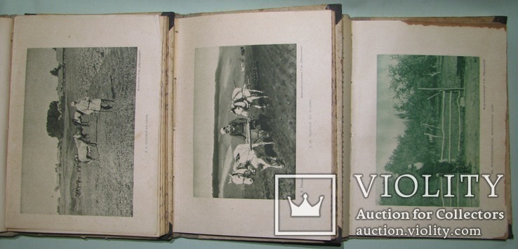 1912 Посмертные произведения Толстого Л.Н., фото №8