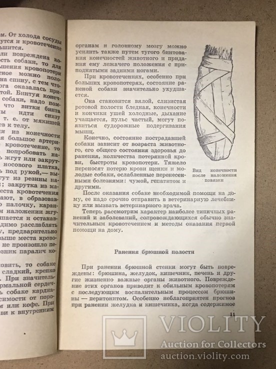 Мисливські собаки 1977. Оказание доврачебной помощи собаке 1976, фото №6