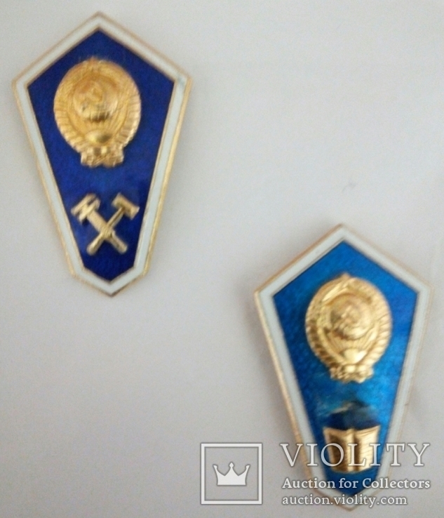 Знак. Поплавок. Техникум технический и гуманитарный, фото №2