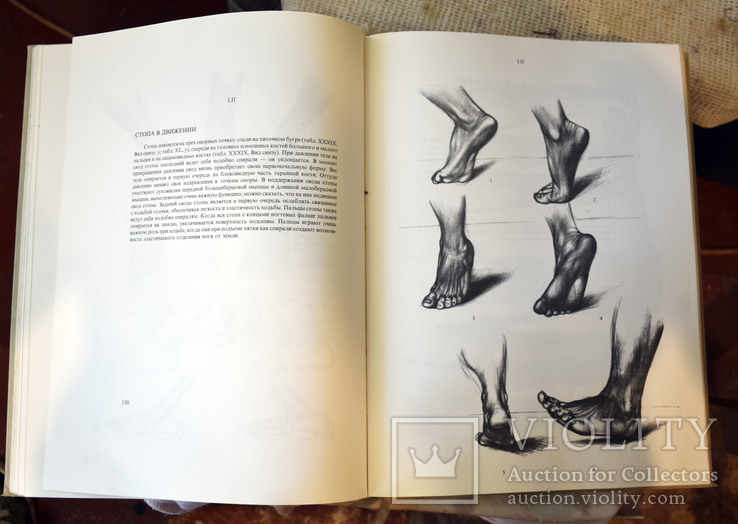 Книга Анатомия для художников, фото №5