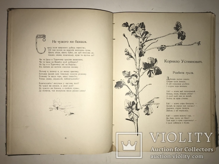 1903 Прижизненное И.Франко Сборник Аккорды с Эффектными иллюстрациями, фото №2