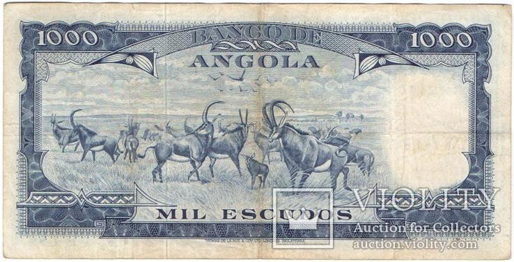Ангола 1000 эскудо 1970, фото №3