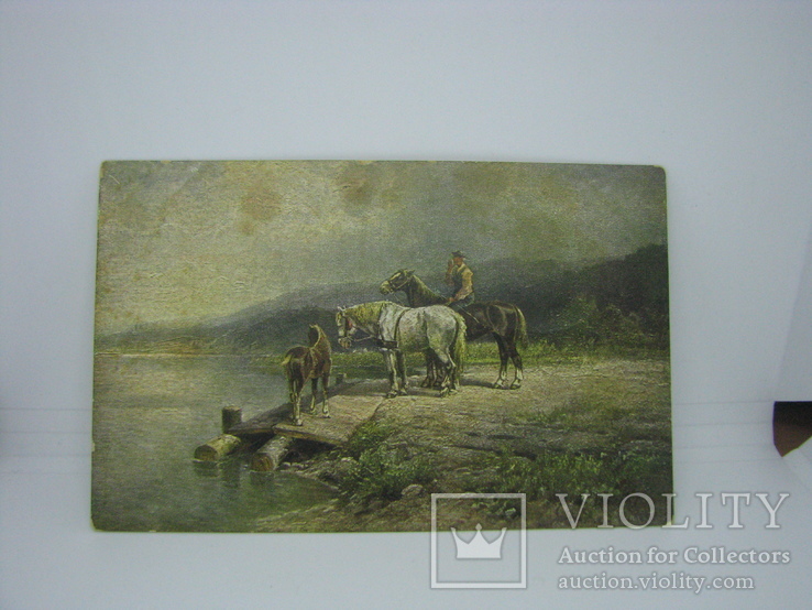 Открытка Лошади на берегу озера. чистая, фото №2