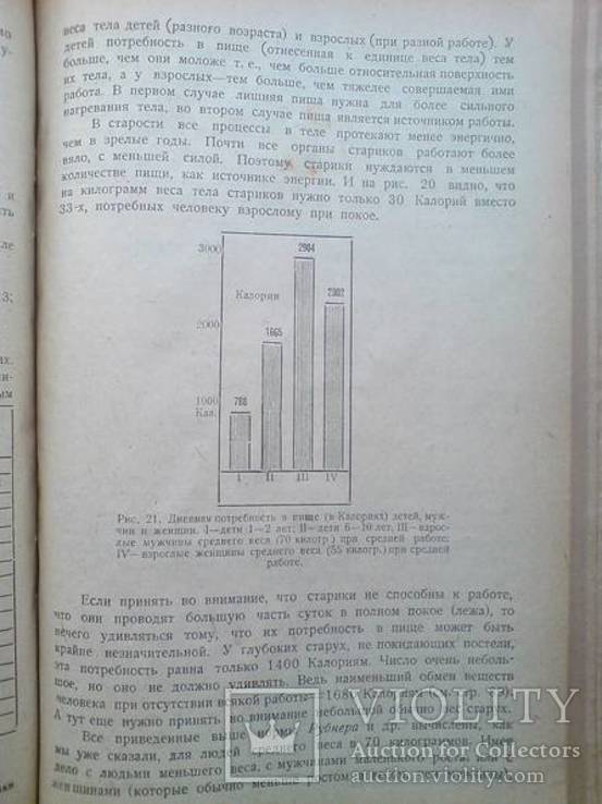 Палладин - Основы Питания 1922г. Прижизненное издание!, фото №6