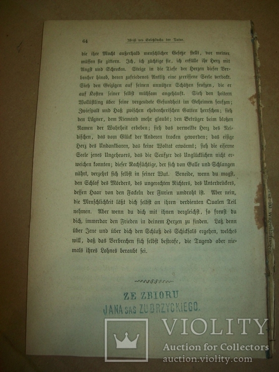 1873 р. Система природы, фото №6