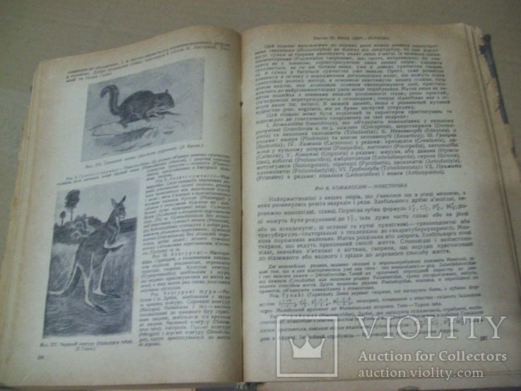 1938 р. Зоологія хребетних тварин, фото №5