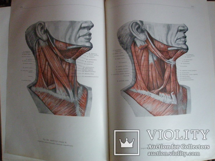 Анатомический атлас человеческого тела в 3-х томах., фото №4