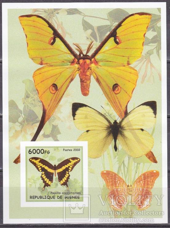 Гвинея бабочки MNH