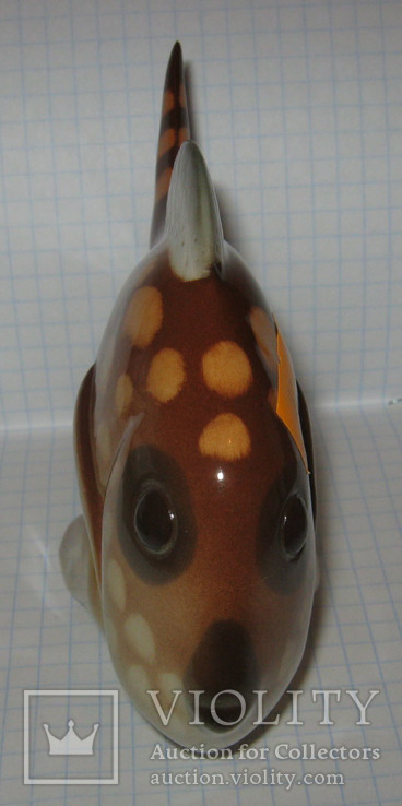Рыбка ЛФЗ (2), фото №5