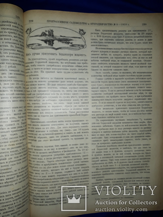 1910 Садоводство и огородничество 52 номера за год - 32х23 см., фото №4