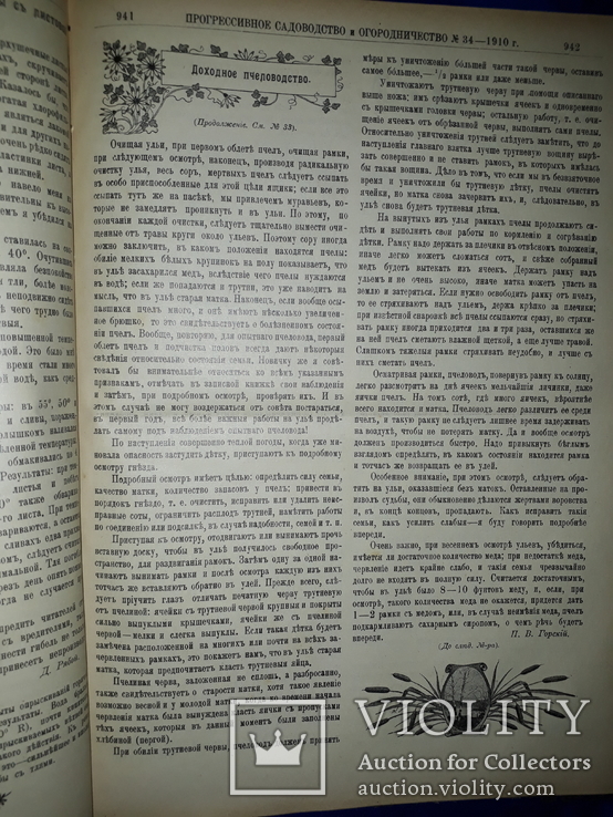 1910 Садоводство и огородничество 52 номера за год - 32х23 см., фото №5