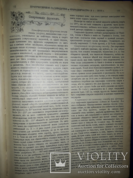 1910 Садоводство и огородничество 52 номера за год - 32х23 см., фото №12