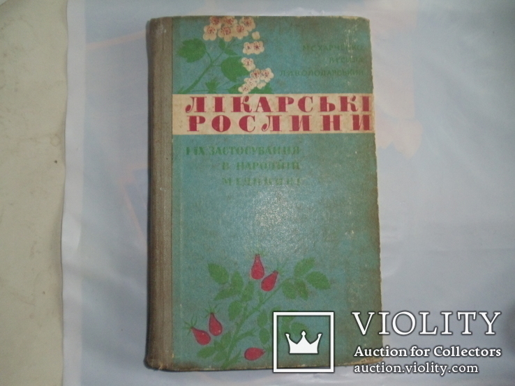 Лікарські рослини. 1971 р., фото №2