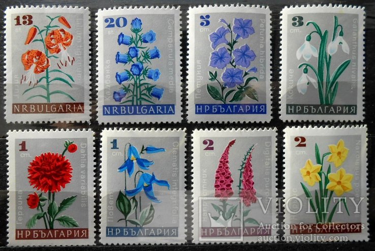 1961 г. Болгария Флора Цветы (**), фото №2