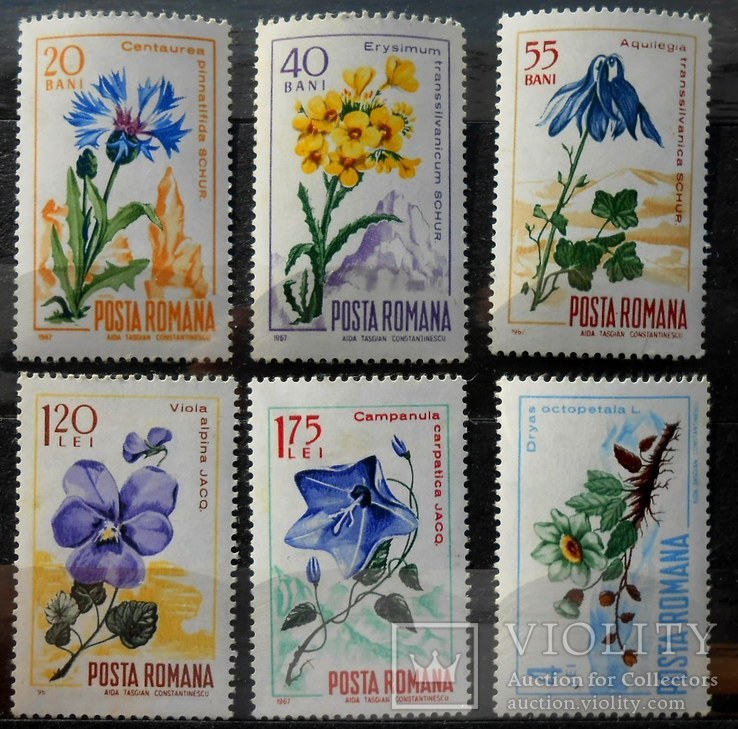 1967 г. Румыния Флора Цветы (**), фото №2