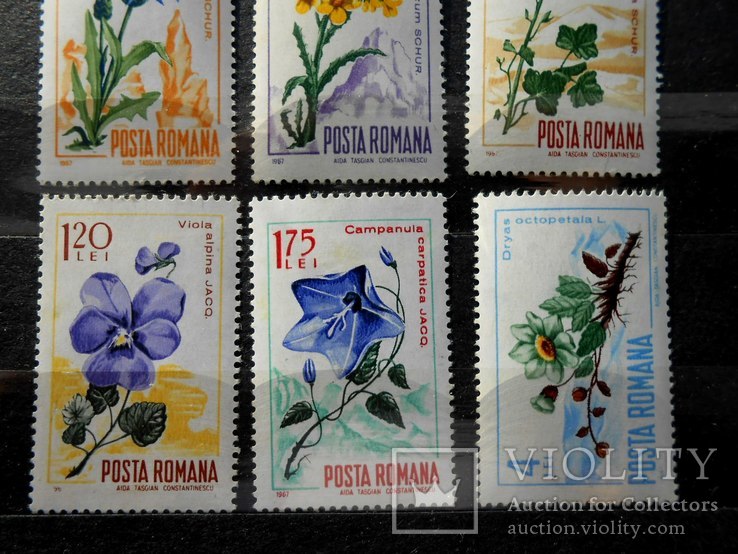 1967 г. Румыния Флора Цветы (**), фото №4